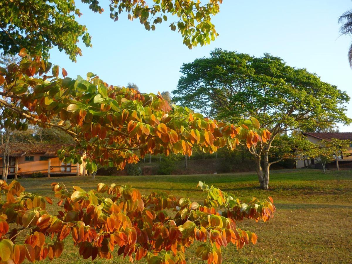 Porto Fazenda Hotel Alfenas Ngoại thất bức ảnh